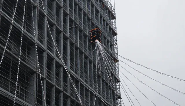 项目咨询在品牌建设中的适用场景与限制